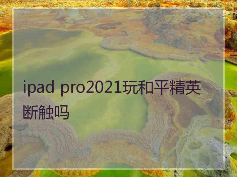 ipad pro2021玩和平精英断触吗