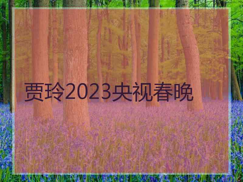 贾玲2023央视春晚