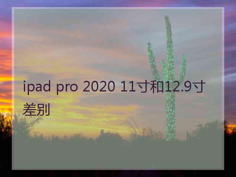 ipad pro 2020 11寸和12.9寸差别