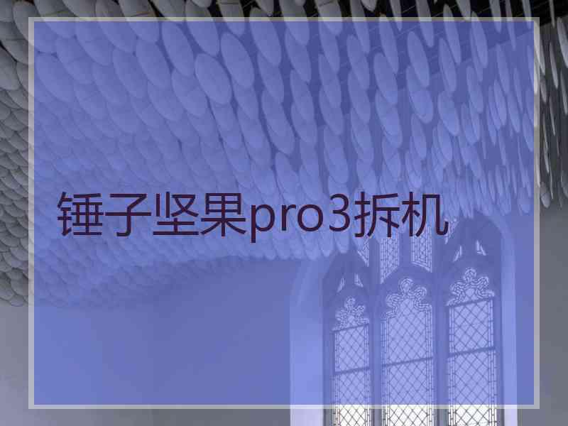 锤子坚果pro3拆机