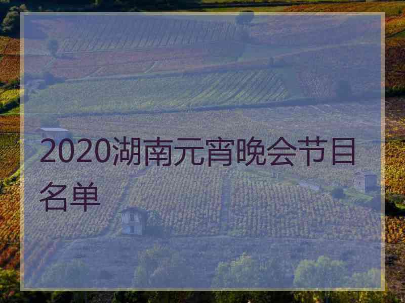 2020湖南元宵晚会节目名单