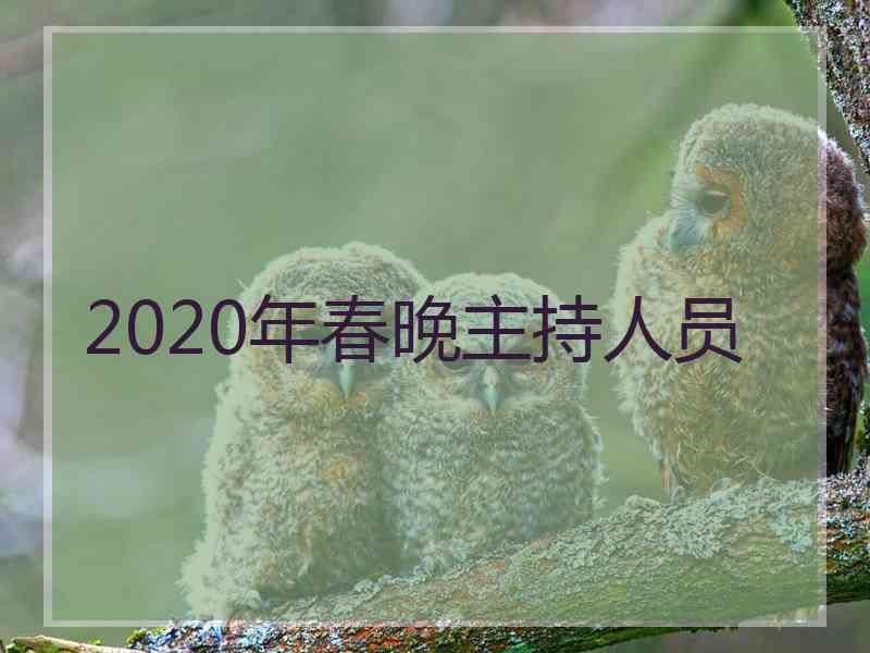 2020年春晚主持人员