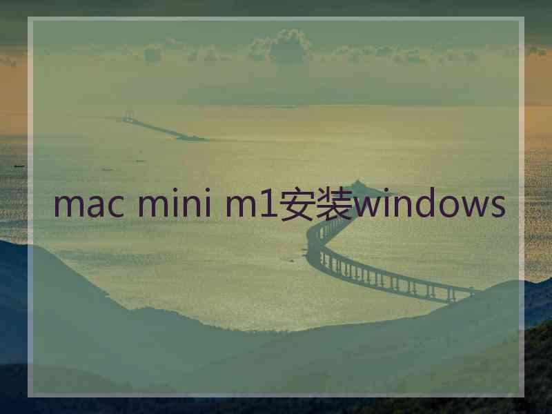 mac mini m1安装windows