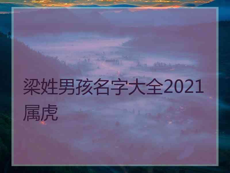 梁姓男孩名字大全2021属虎