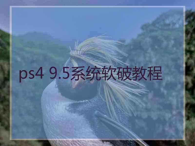 ps4 9.5系统软破教程