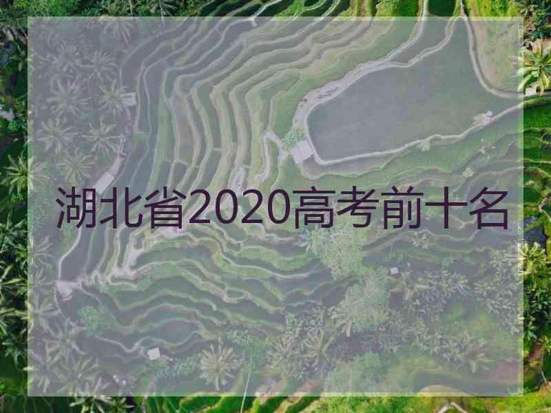 湖北省2020高考前十名