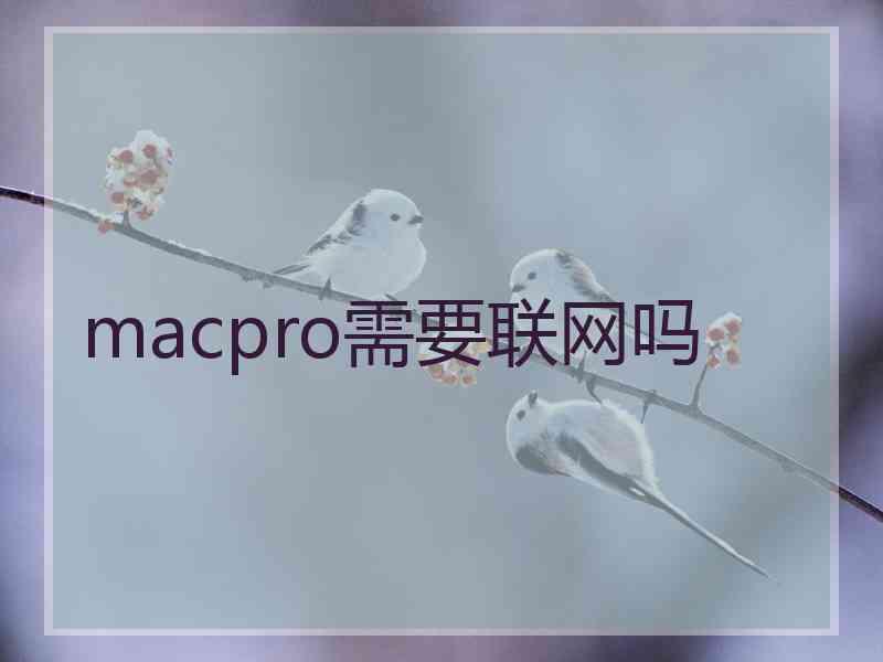 macpro需要联网吗