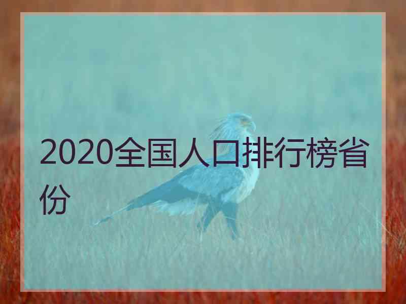 2020全国人口排行榜省份