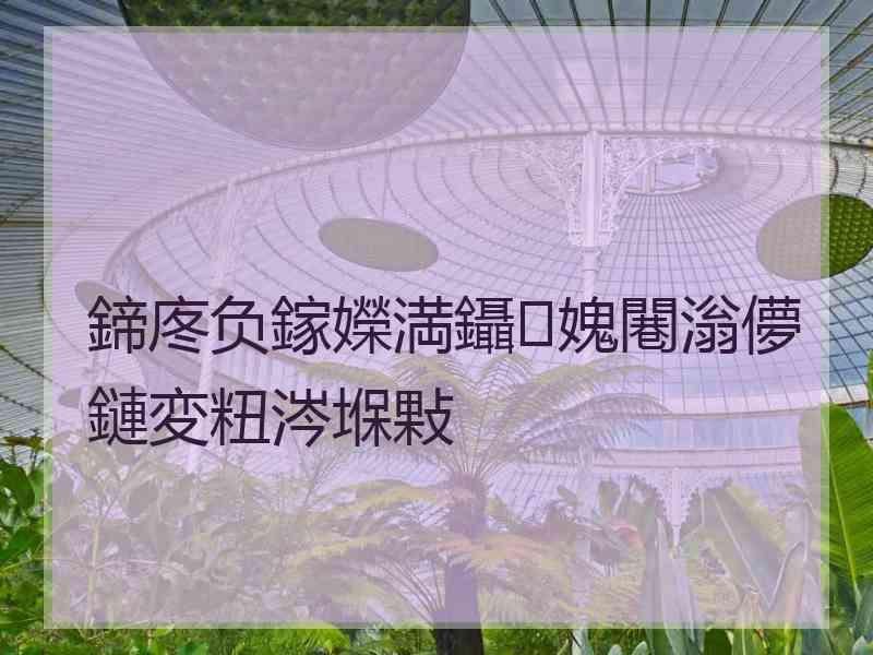 鍗庝负鎵嬫満鑷媿闀滃儚鏈変粈涔堢敤