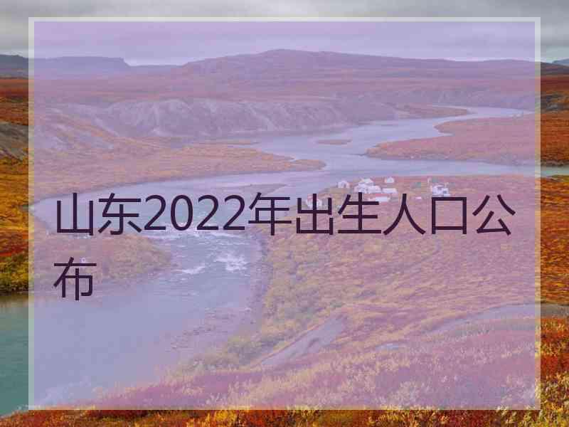 山东2022年出生人口公布