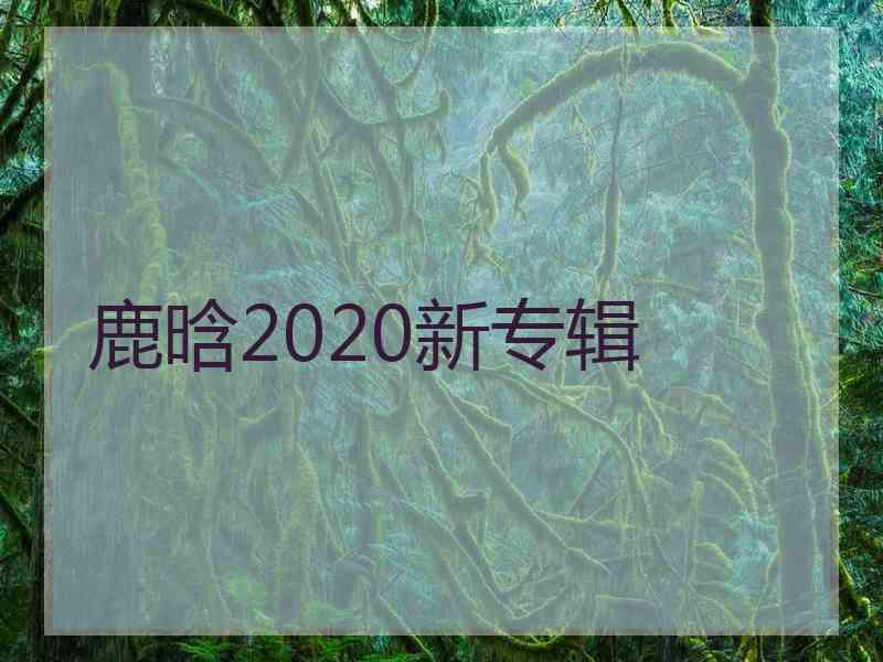 鹿晗2020新专辑