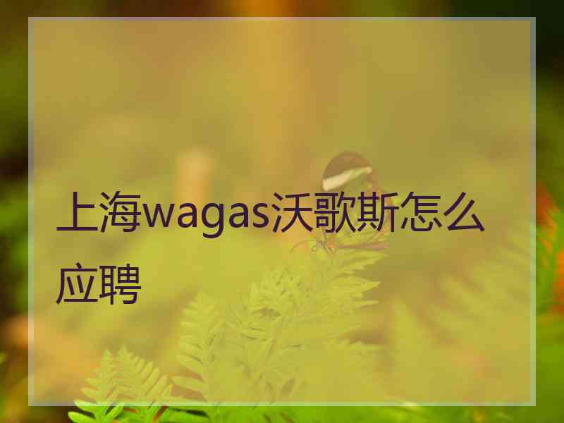 上海wagas沃歌斯怎么应聘