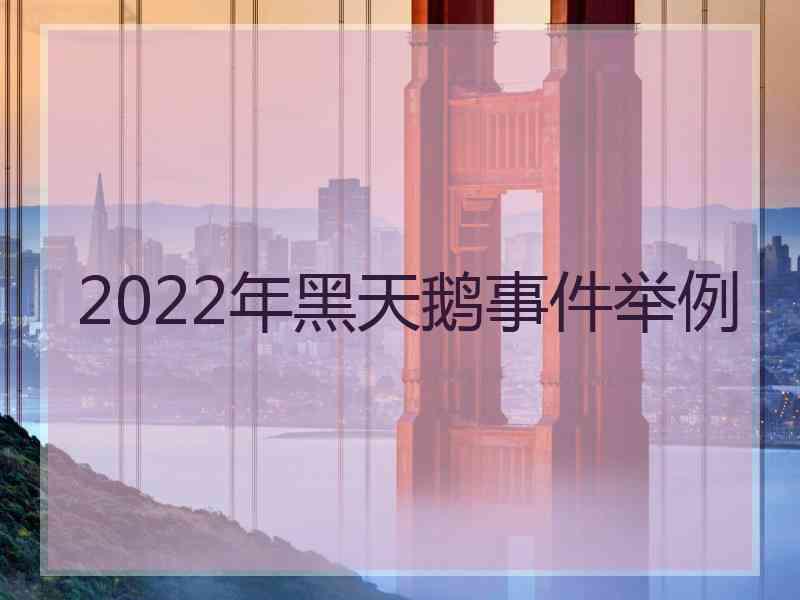 2022年黑天鹅事件举例