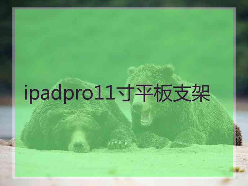 ipadpro11寸平板支架