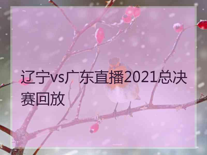 辽宁vs广东直播2021总决赛回放