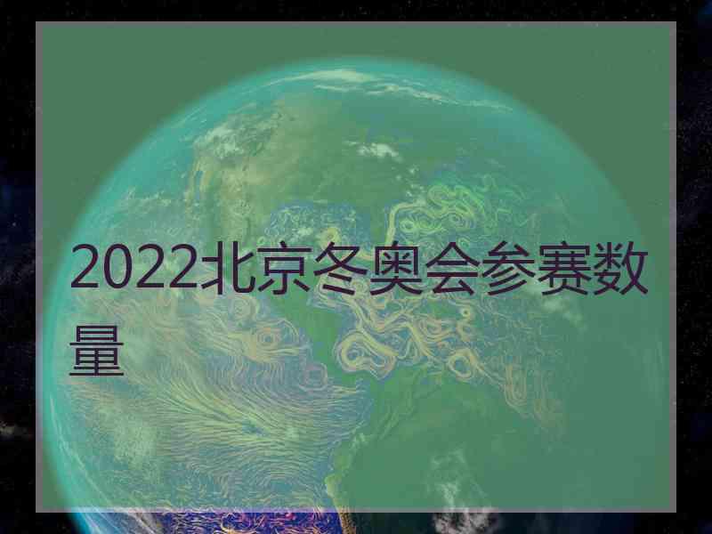 2022北京冬奥会参赛数量