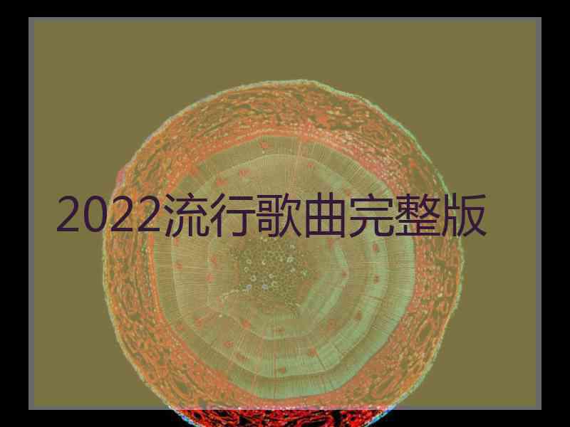 2022流行歌曲完整版