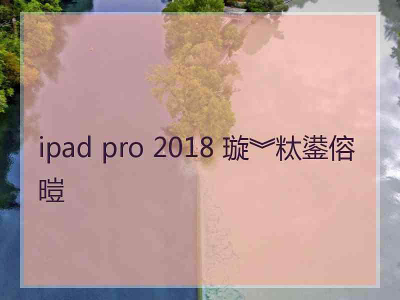 ipad pro 2018 璇︾粏鍙傛暟