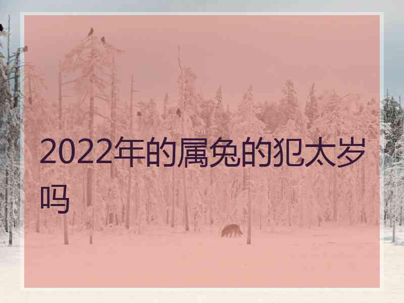 2022年的属兔的犯太岁吗