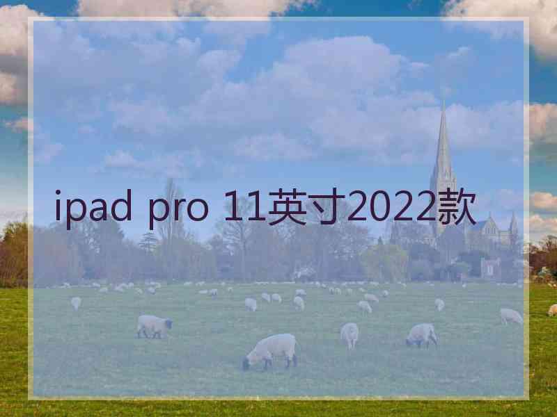 ipad pro 11英寸2022款