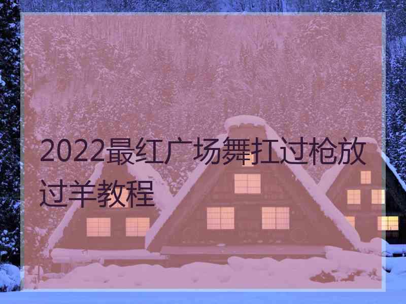 2022最红广场舞扛过枪放过羊教程