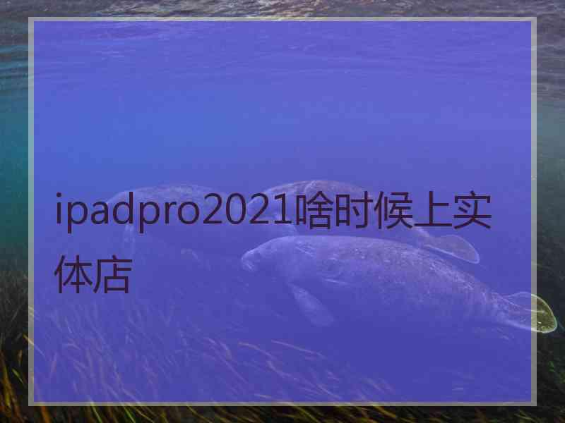 ipadpro2021啥时候上实体店