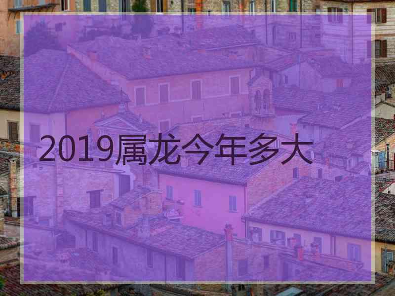 2019属龙今年多大