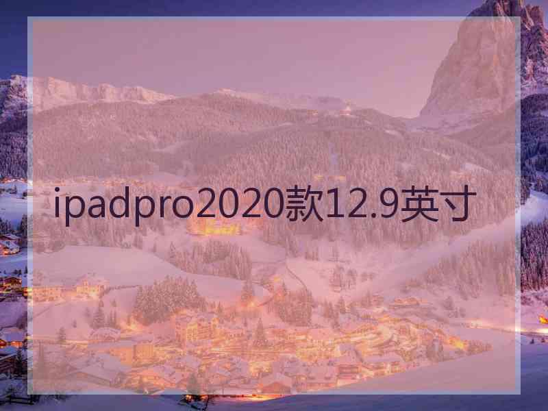 ipadpro2020款12.9英寸