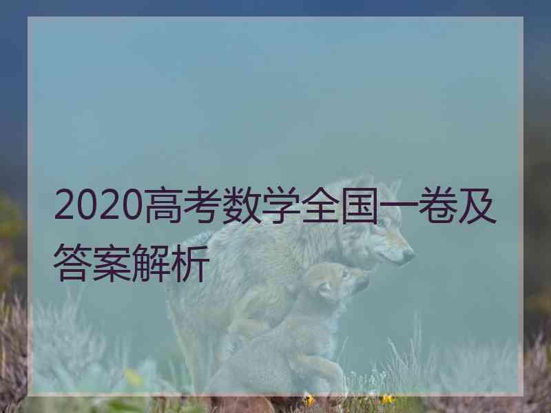 2020高考数学全国一卷及答案解析