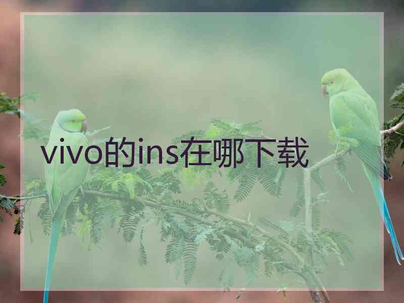 vivo的ins在哪下载