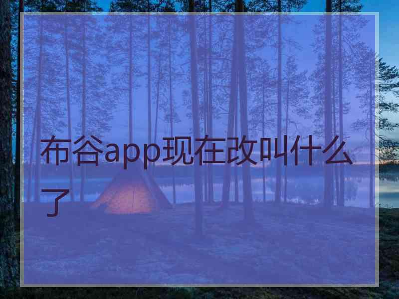 布谷app现在改叫什么了