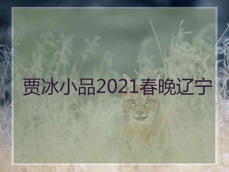 贾冰小品2021春晚辽宁