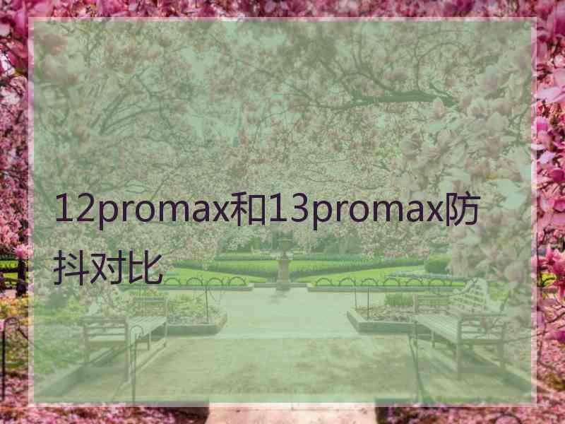 12promax和13promax防抖对比