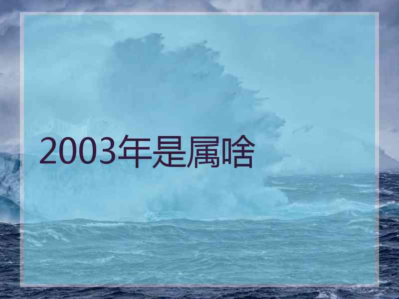 2003年是属啥