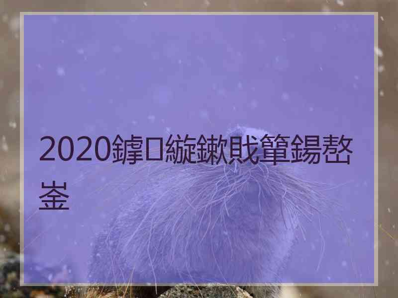 2020鎼縼鏉戝簞鍚嶅崟