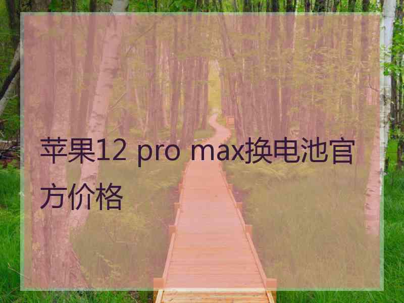 苹果12 pro max换电池官方价格