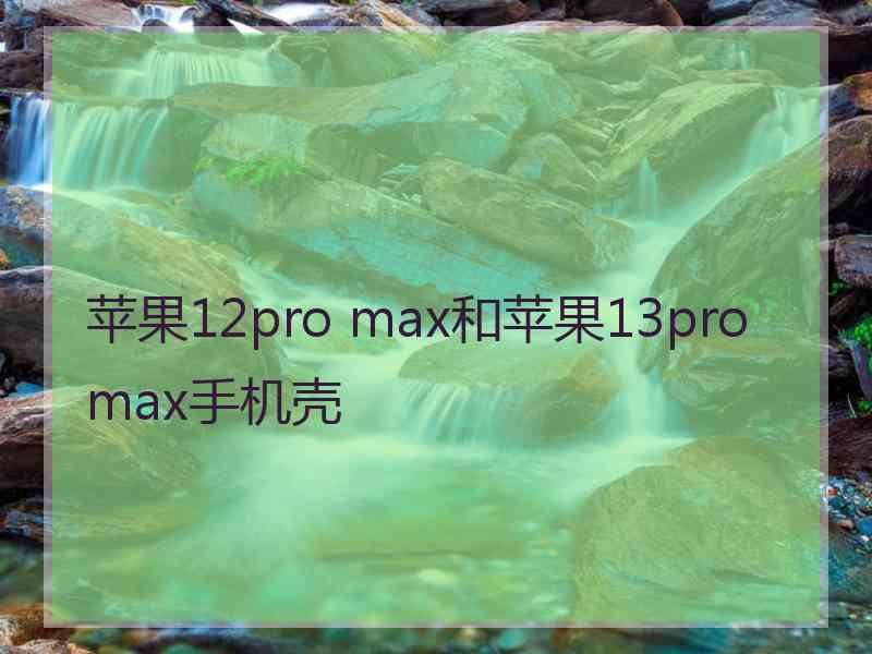 苹果12pro max和苹果13promax手机壳