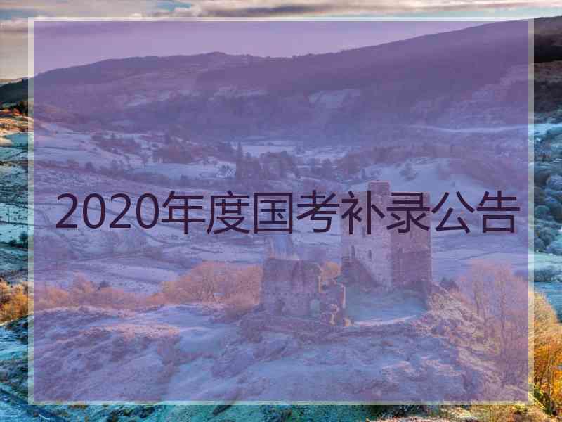 2020年度国考补录公告