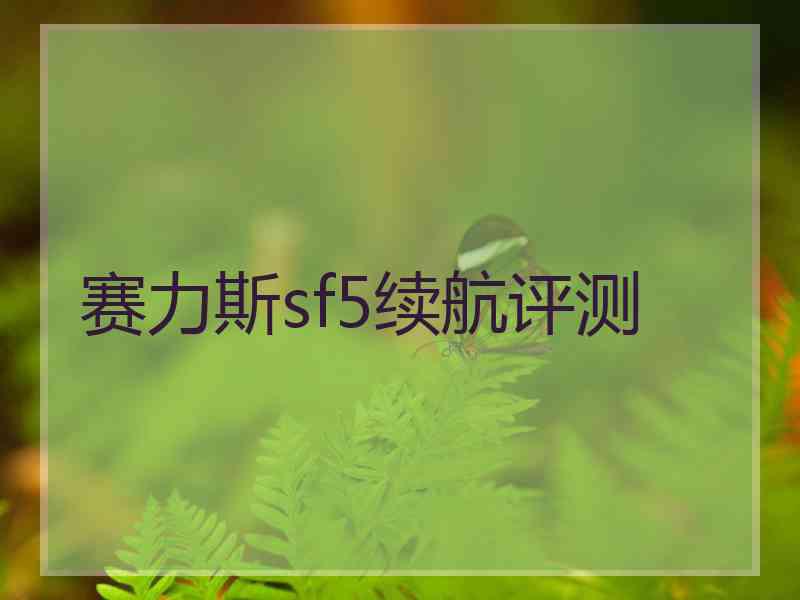 赛力斯sf5续航评测