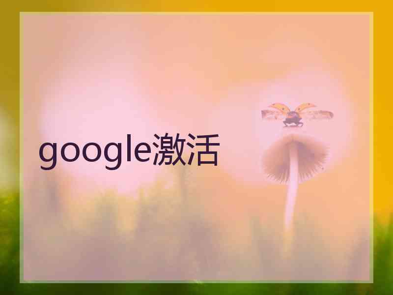 google激活