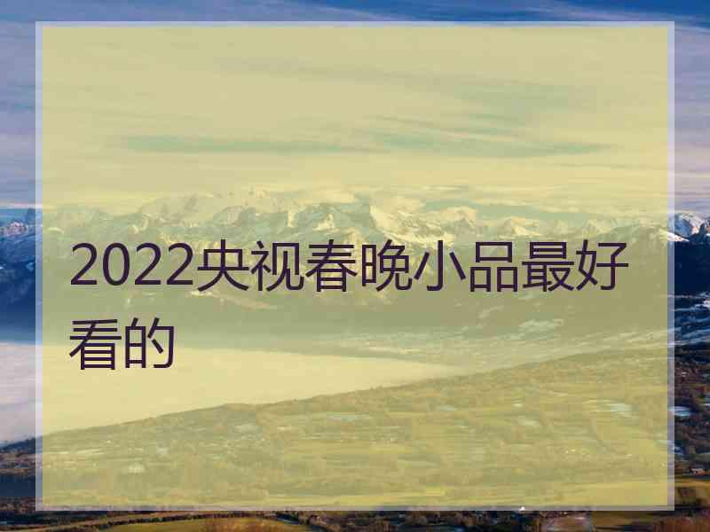 2022央视春晚小品最好看的