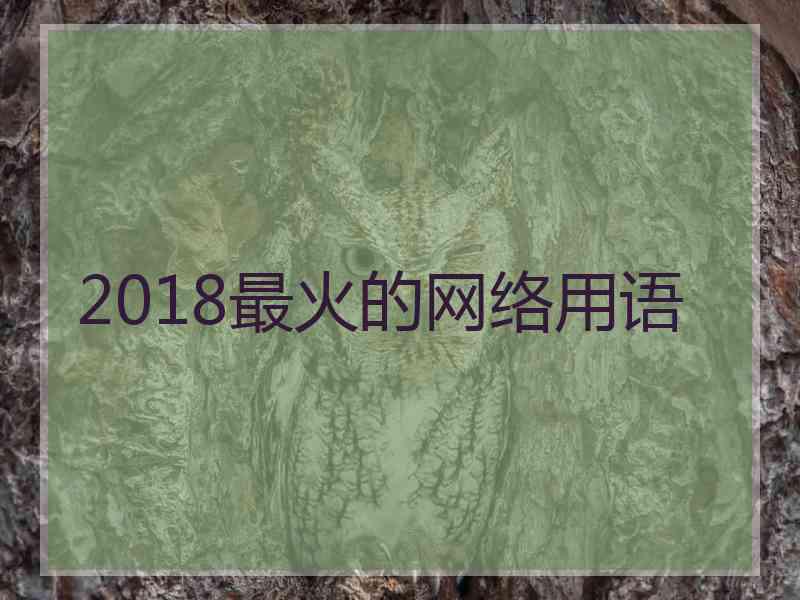 2018最火的网络用语