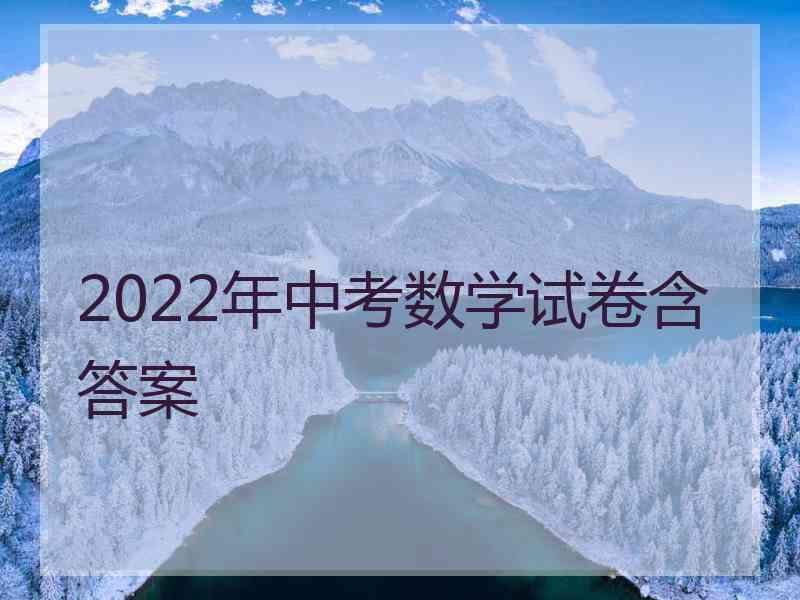 2022年中考数学试卷含答案