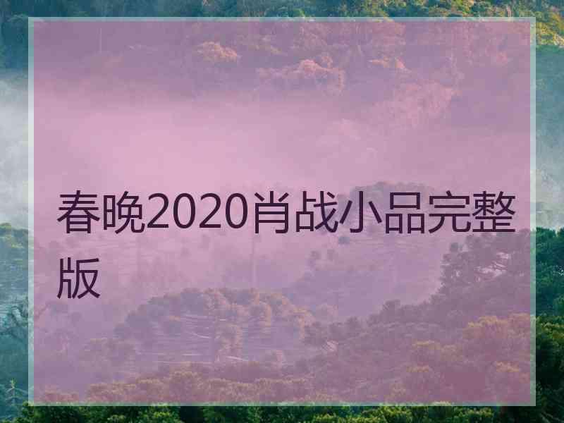 春晚2020肖战小品完整版