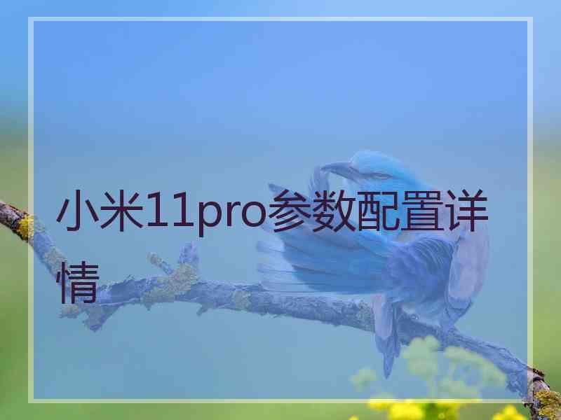 小米11pro参数配置详情