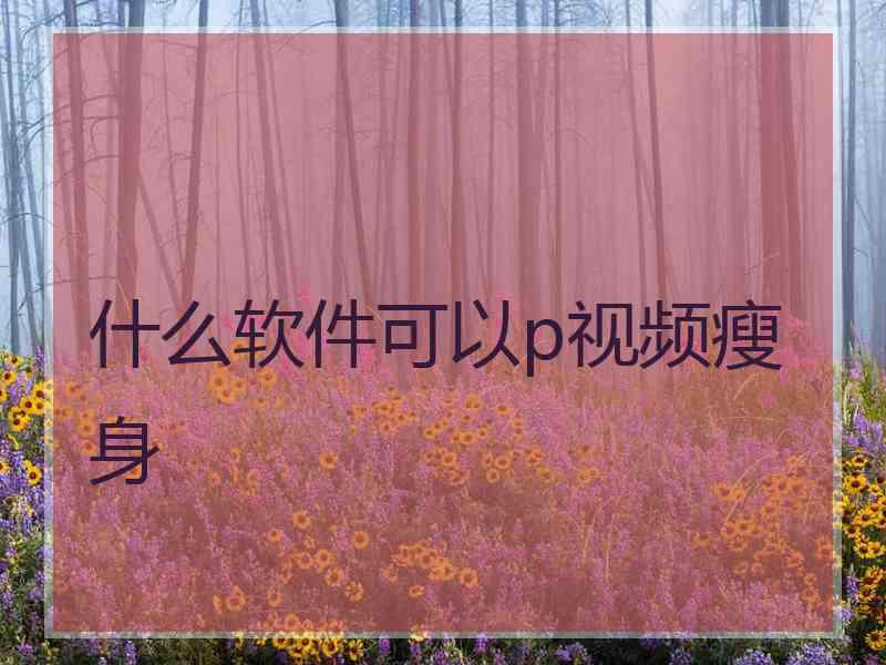 什么软件可以p视频瘦身