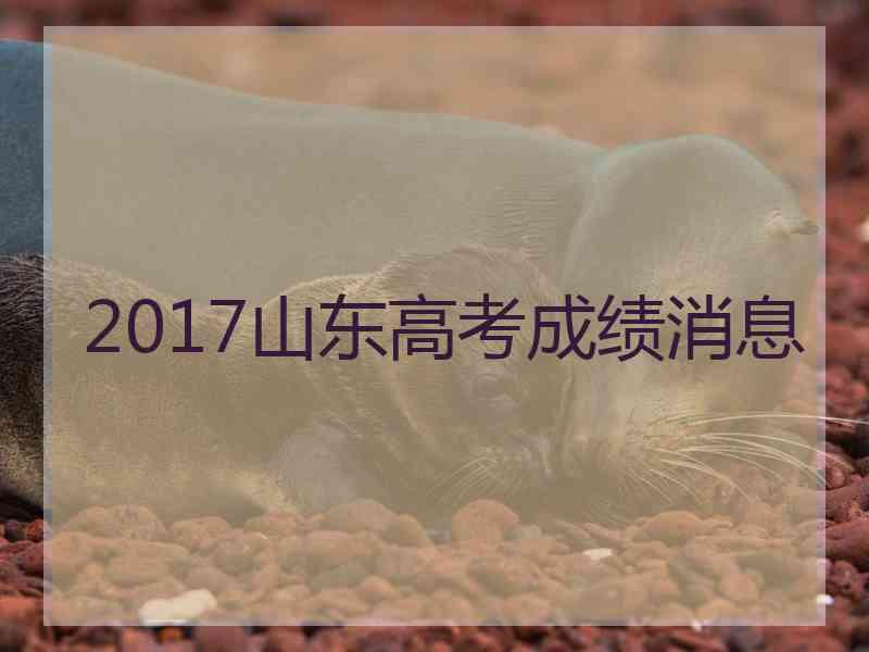 2017山东高考成绩消息