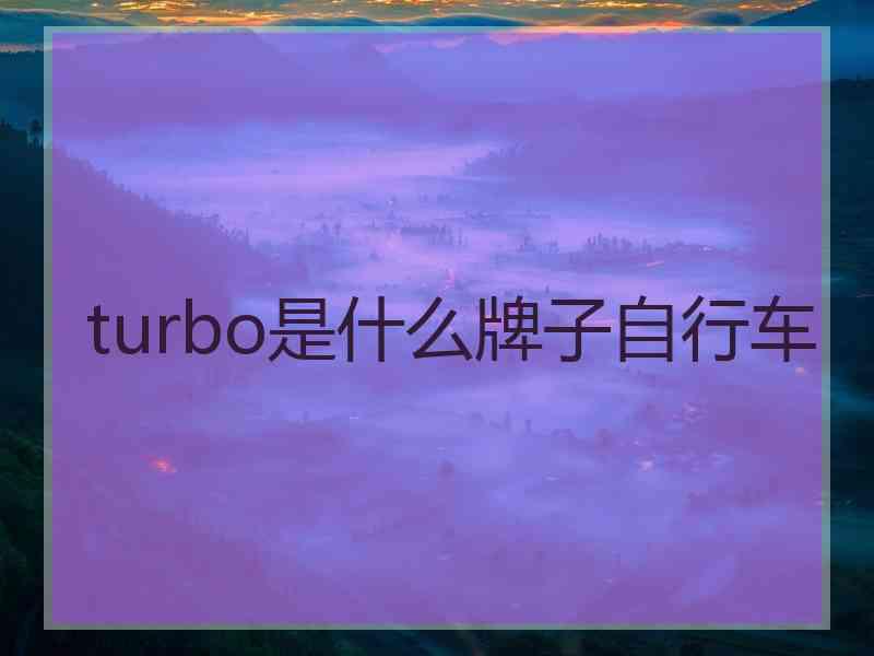 turbo是什么牌子自行车