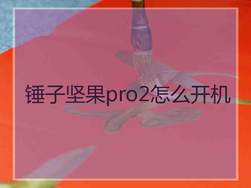 锤子坚果pro2怎么开机