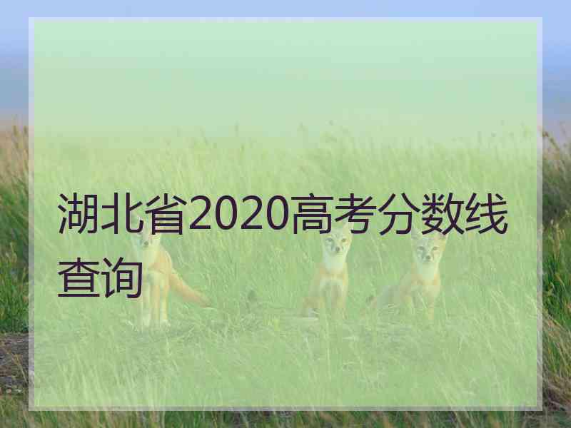 湖北省2020高考分数线查询